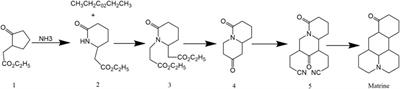 Research Advances on Matrine